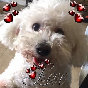 Meet your Posher, Edith